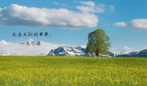 生辰(生命记录工具) 生辰(生命记录工具)