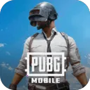 pubgȫ���