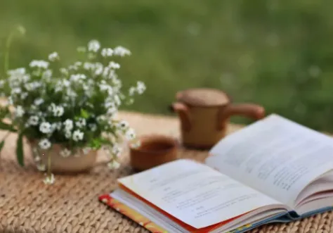 蚂蚁读书2026官方正版 蚂蚁读书2026官方正版