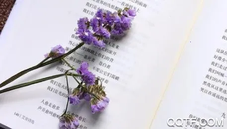 米粒小说 米粒小说