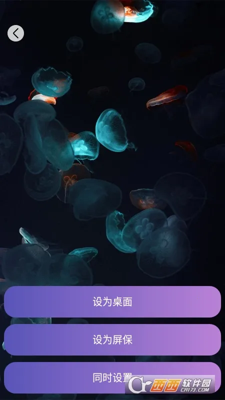 ����δ��