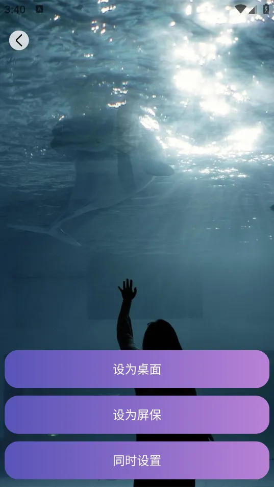 ����δ��v1.0.2.101 ��׿���ͼ2