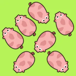 С������2026���°汾