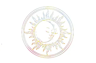 Max����������