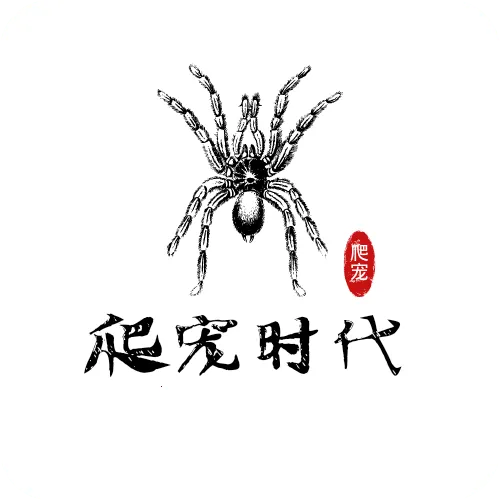 ����ʱ��2026�ٷ�����