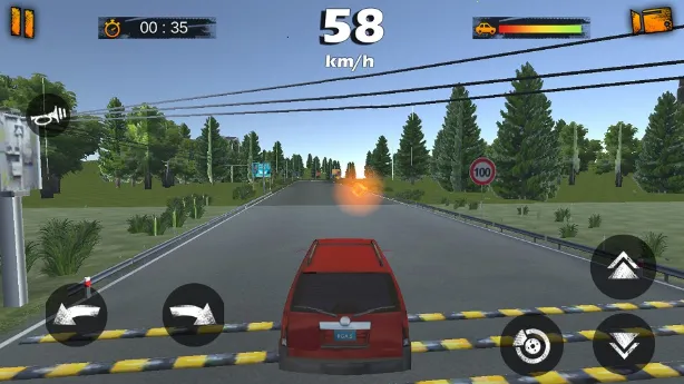 ���ż�ʻģ��