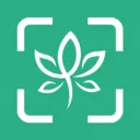 ��������ʶ��