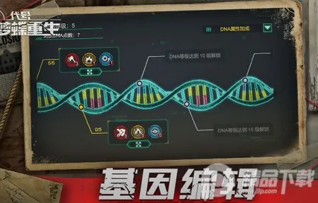 代号梦蝶重生 代号梦蝶重生