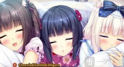 SAYORI2026�ٷ����°汾