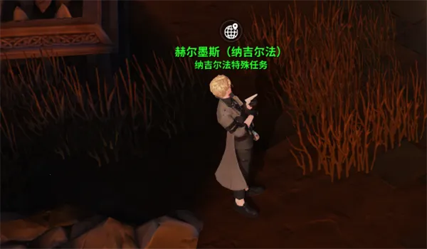 �������ξ�2026�ٷ�����