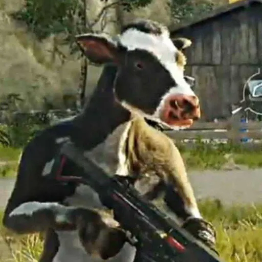 ǹ�ֵ������ս