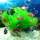 ˮ��ݶ�̬��ֽ��������