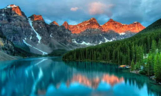 Procreate�滭��ͼ