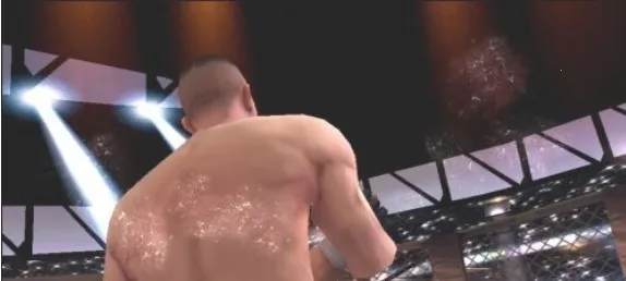 �µ�����ά��˹�����ֻ���