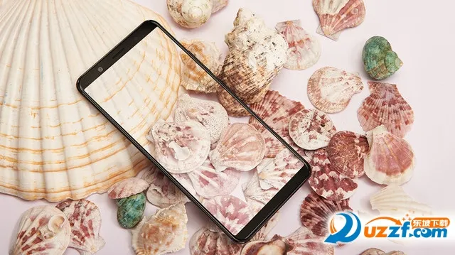 ȫ��������