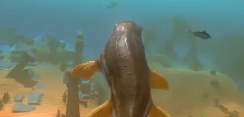 �����Ȩ����ս