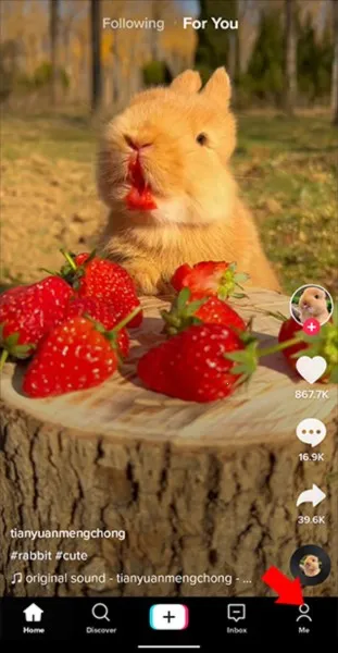 TikTok��׿���ֻ���