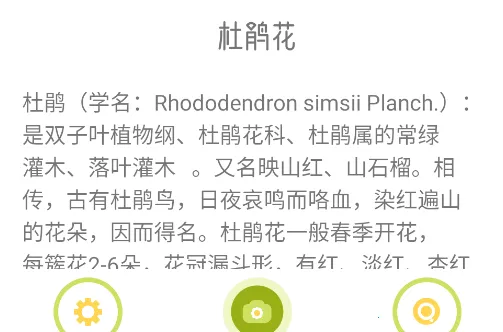 ������ʶ��׿���ֻ���