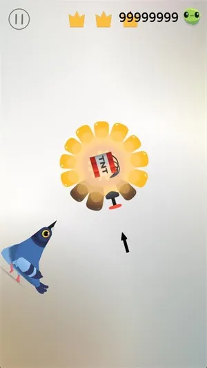 ���ĸ���