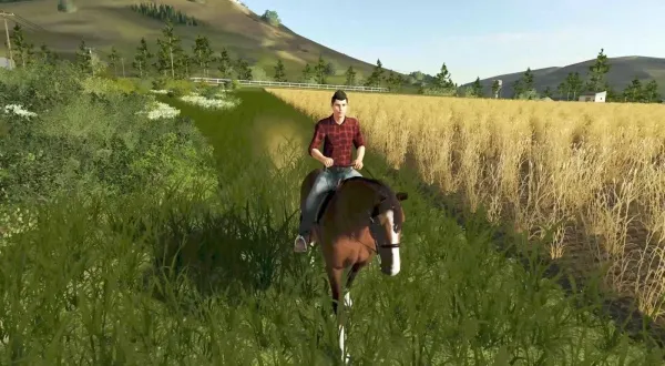 ģ��ũ��20�ƽ�����޽�����İ�����