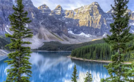 Photoroom2026�ٷ�����