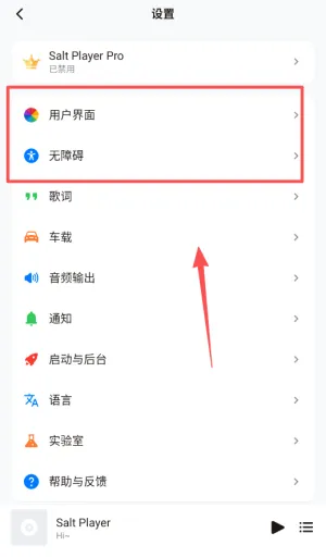 Salt Player(���ֲ�����)