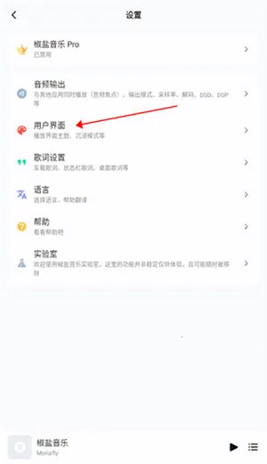 Salt Player(���ֲ�����)