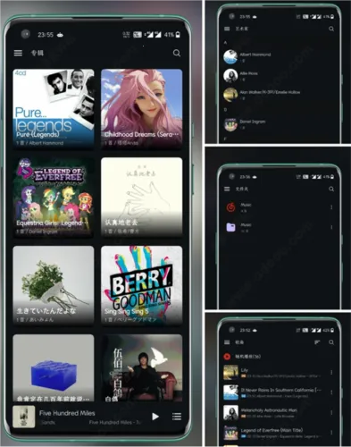 Salt Player(���ֲ�����)