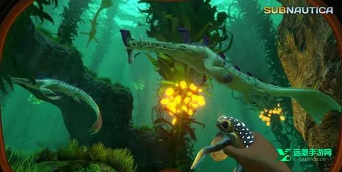 ��Ժ��ֻ���