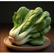 ��̷���TV(Ӱ�Ӳ�������)