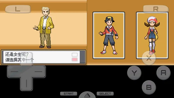 �ڴ������Ľ�����