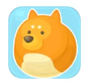 �������2026���ذ�װ