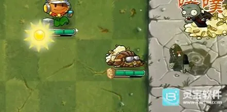 ֲ���ս��ʬ������ֻ���������