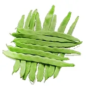 С�˶�(ϵͳ����ģ��)