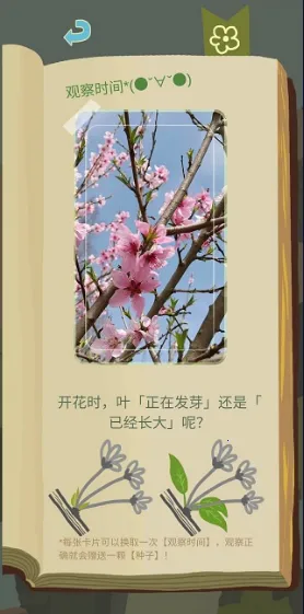 ��ũ������������2026���°汾