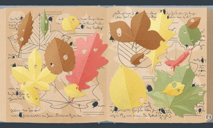 ����һ�㣺�����ǰ�׿���ֻ���v3.5.81 ��Ѱ��ͼ3