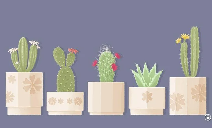 ����һ�㣺�����ǰ�׿���ֻ���v3.5.81 ��Ѱ��ͼ1