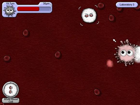 ��ζ����5�ƽ��