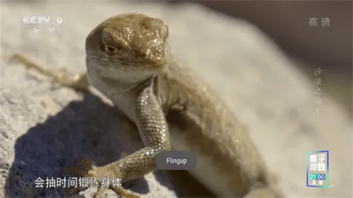 �ǻ���Ӻ�������°�����v1.0.50 ��׿���ͼ2