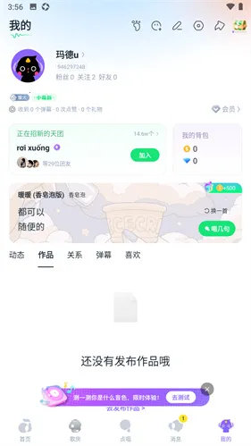 ��ɭ���氲װ