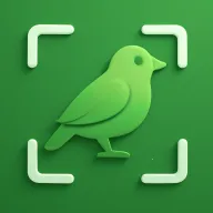 ʶ��2026���°汾