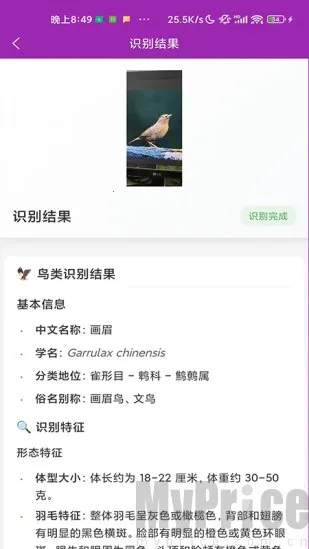 识鸟2026最新版本 识鸟2026最新版本