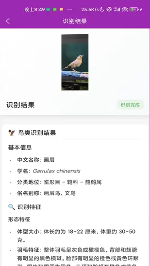 ʶ��2026���°汾v1.1.0 �ֻ����ͼ0