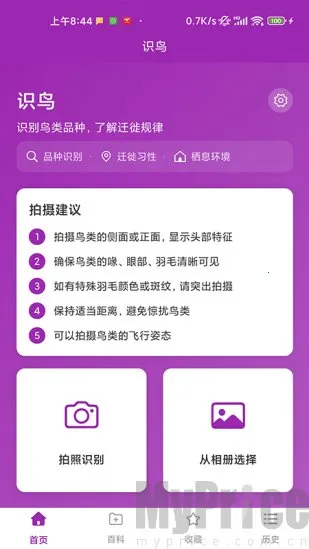 识鸟2026最新版本 识鸟2026最新版本