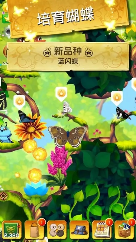 彩翼蝴蝶保护区破解版 彩翼蝴蝶保护区破解版