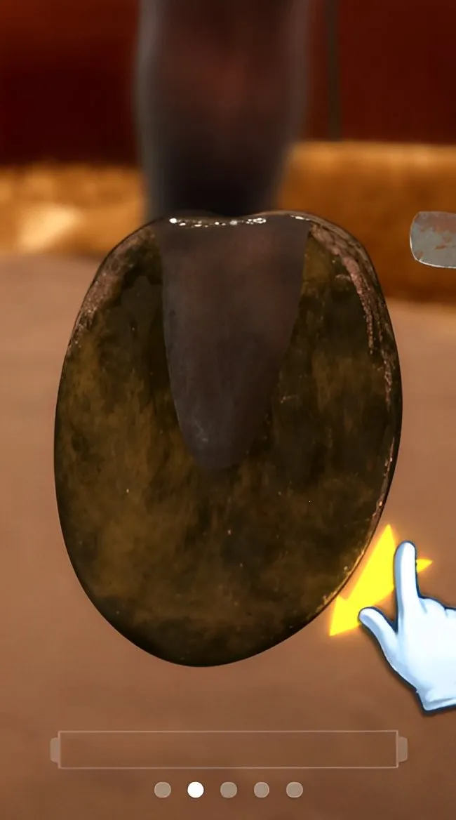 ����Ҳ����ƽ��v1.0.0 ��Ѱ��ͼ2