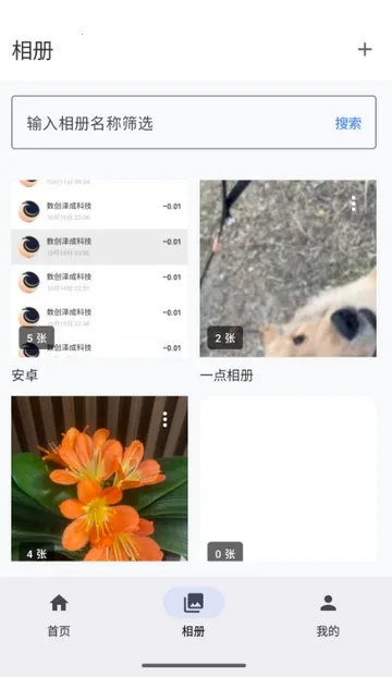 ���������(���������Ӧ��)