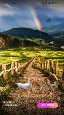 ��Ƥ�������ֻ���v2.4.2.2 �ֻ����ͼ2