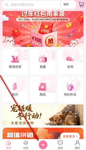 宠链宠物2026官方正版 宠链宠物2026官方正版