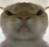 �������ж����󹤾߰�׿���ֻ���